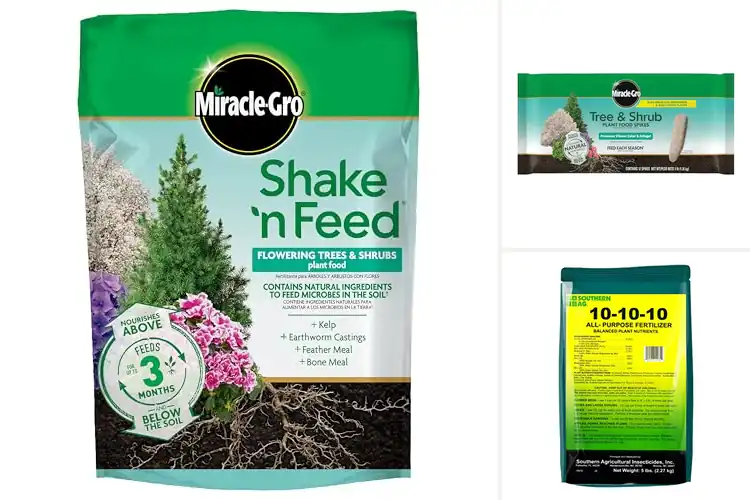 Detailed view of Best Fertilizers For Shrubs