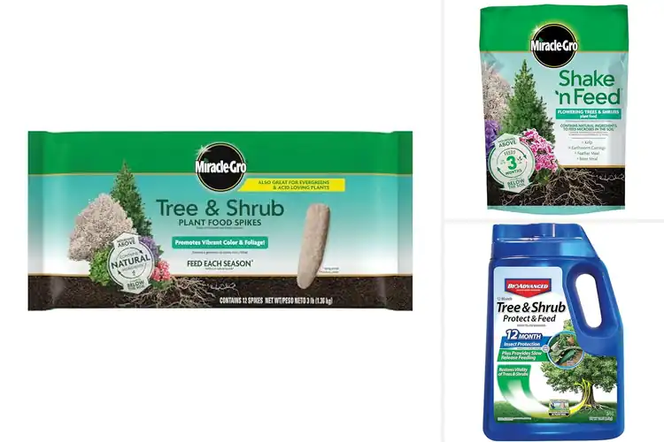 Detailed view of Best Fertilizers For Trees: Grow Them Strong