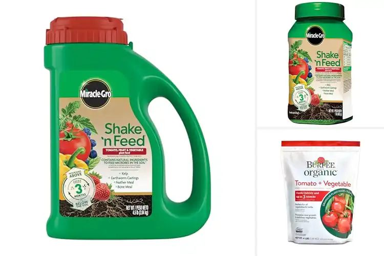 Detailed view of Best Fertilizers For Vegetables