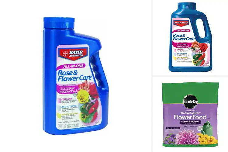 Detailed view of Best Flower Fertilizers: Top 10 Picks for Bigger Blooms