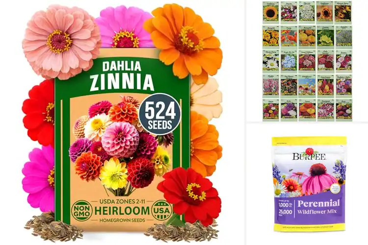Detailed view of Best Flower Garden Seeds