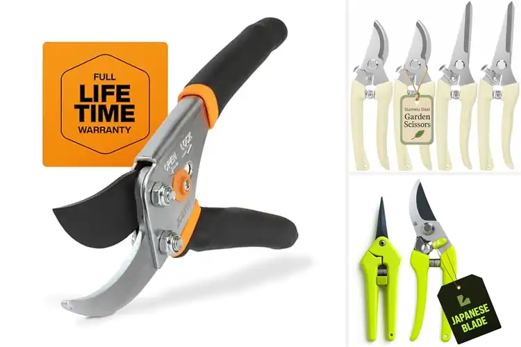 Detailed view of Best Flower Shears