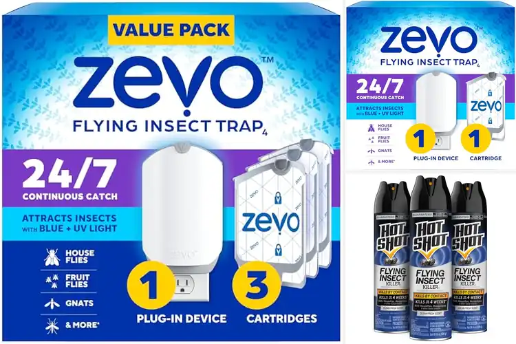 Detailed view of Best Flying Insect Control