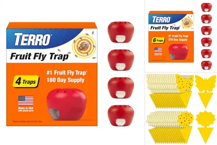 Detailed view of Best Fruit Fly Traps