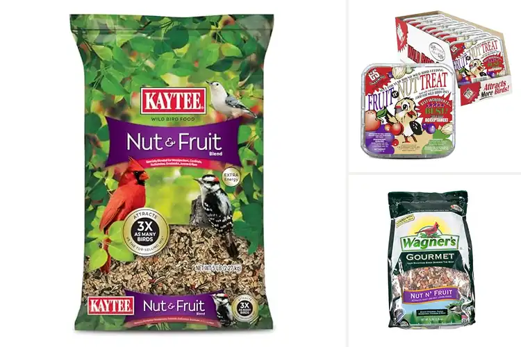 Detailed view of Best Fruit Nut Flavor For Birds