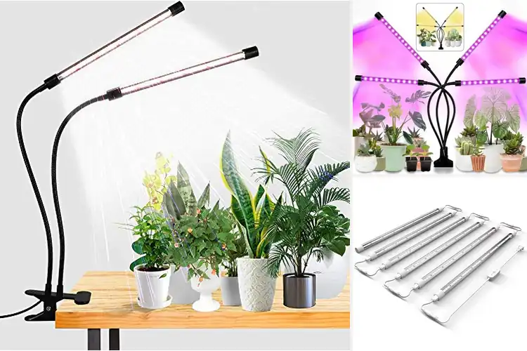 Detailed view of Best Full Spectrum Grow Light