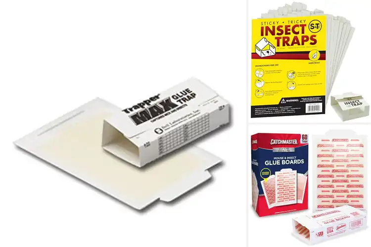 Detailed view of Best Garage Insect Traps