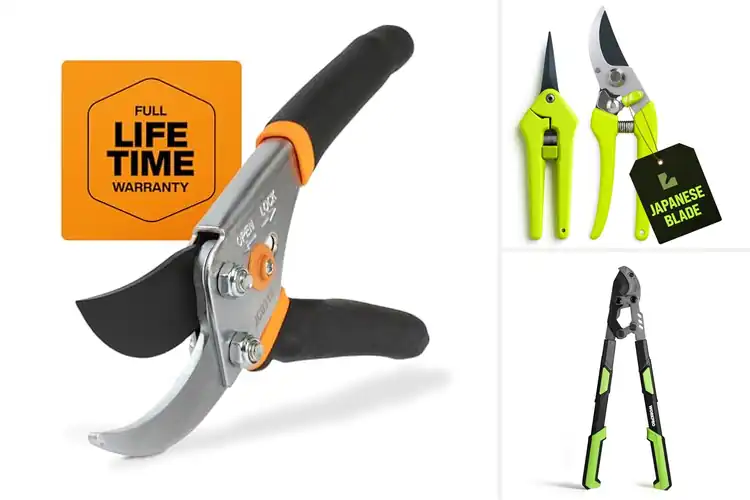 Detailed view of Best Garden Clippers
