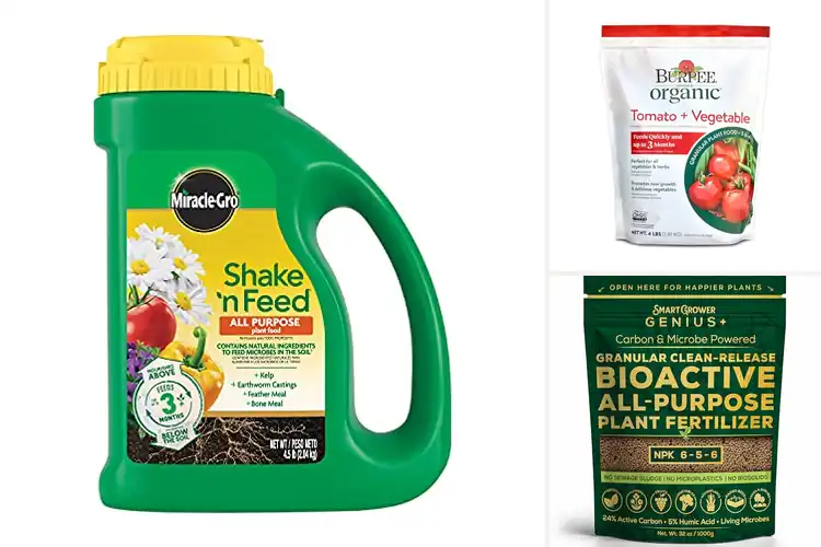 Detailed view of Best Garden Fertilizers: Top Picks for Thriving Plants