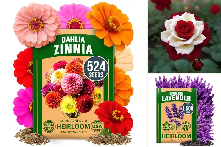 Detailed view of Best Garden Flowers to Brighten and Boost Your Outdoor Space