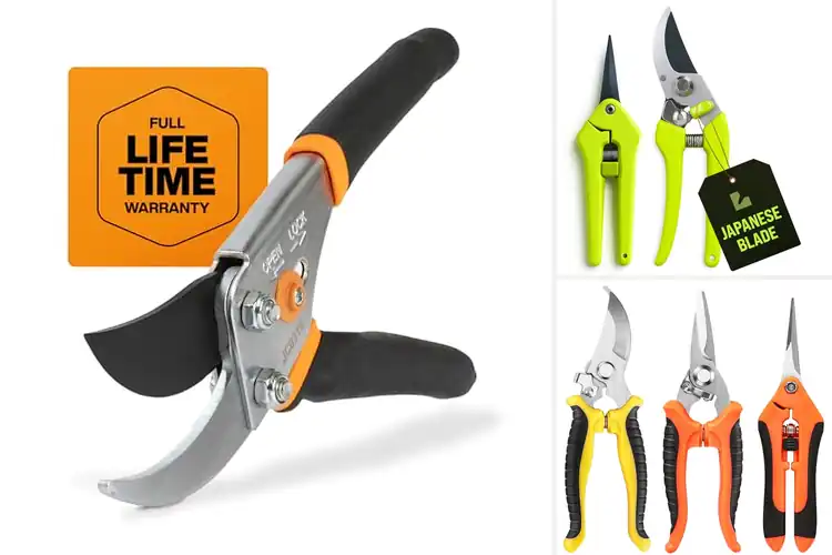 Detailed view of Best Garden Pruners: Top Picks for Effortless Pruning