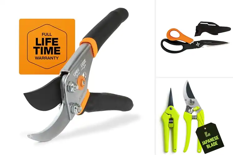 Detailed view of Best Garden Scissors