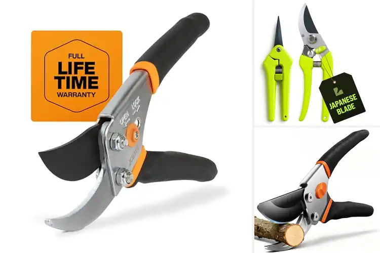 Detailed view of Best Garden Shears: Effortless Pruning for a Lush Garden