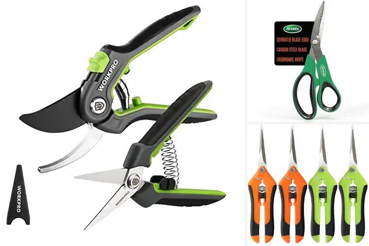Detailed view of Best Gardening Scissors