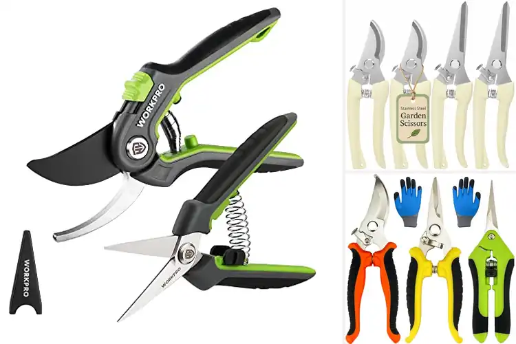 Detailed view of Best Gardening Shears