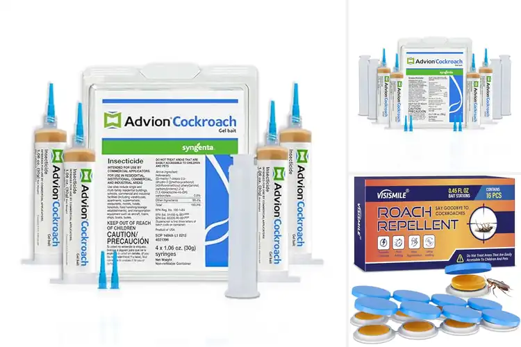 Detailed view of Best German Roach Controls