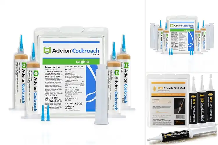 Detailed view of Best German Roach Gels: Quick Infestation Solution