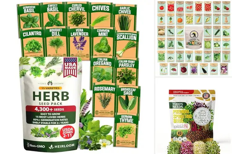 Detailed view of Best Germination Seeds for Easy, Thriving Growth