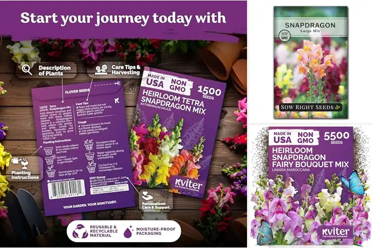 Detailed view of Best Germination Snapdragon Seeds