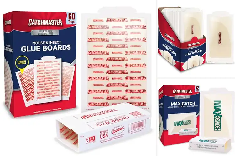 Detailed view of Best Glue Boards: Top 10 Pest-Free Solutions for Your Home