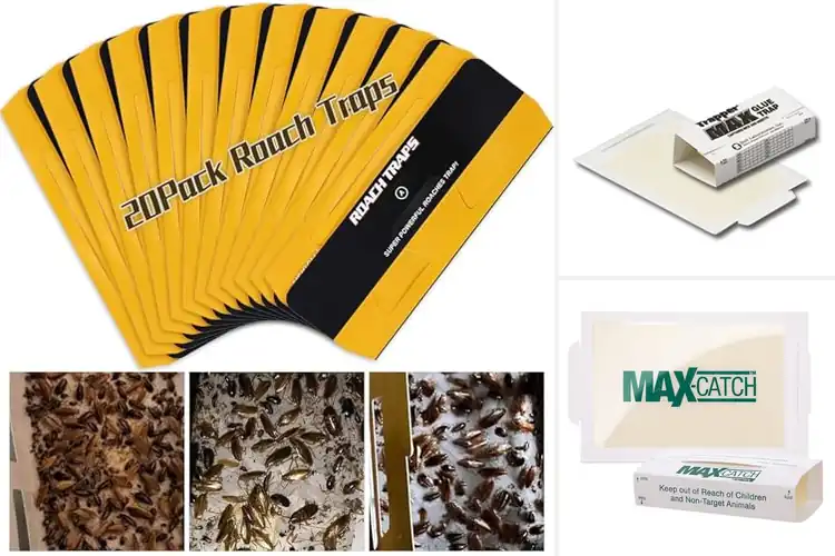 Detailed view of Best Glue Trap For Cockroaches