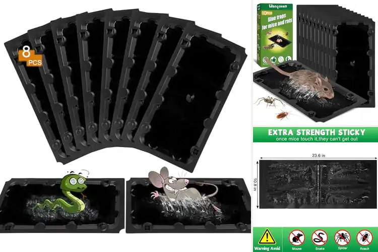 Detailed view of Best Glue Traps For Damp Environments