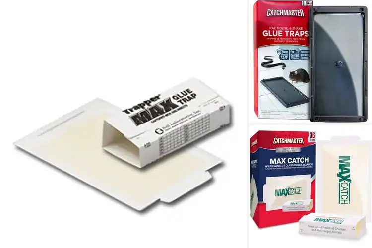 Detailed view of Best Glue Traps for Garage: Top 10 Pest-Free Solutions