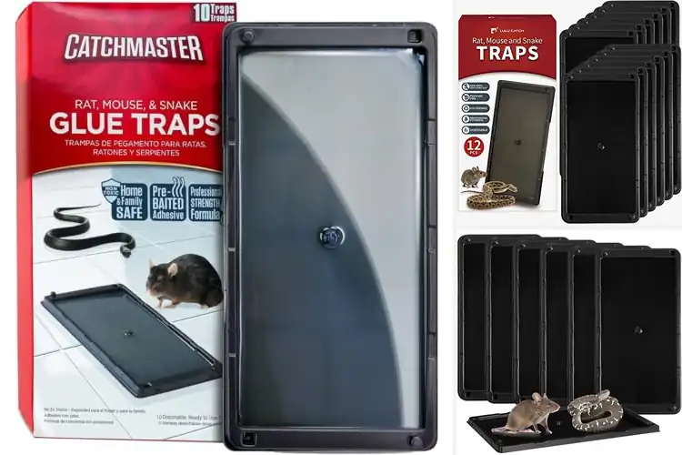 Detailed view of Best Glue Traps for Rats: Top 10 Pest-Free Home Solutions