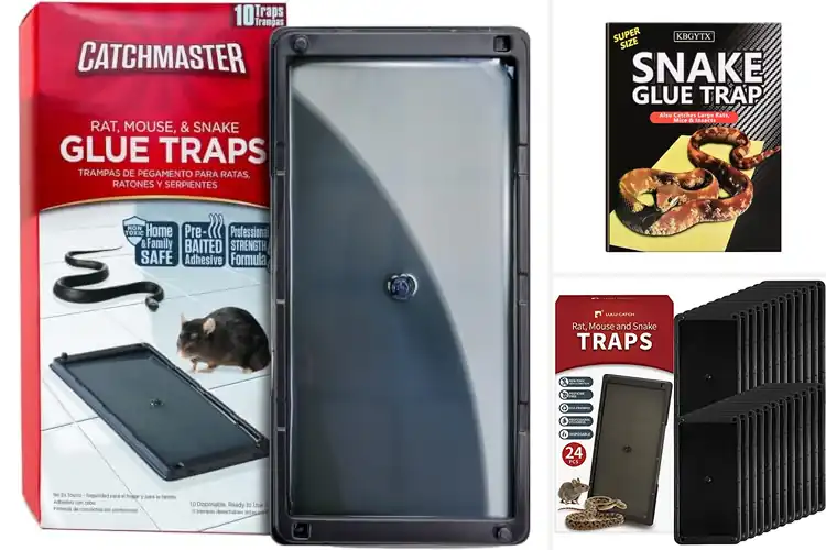 Detailed view of Best Glue Traps For Snakes: Top 10 Pest Control Solutions