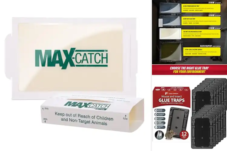 Detailed view of Best Glue Traps: Top 10 Picks for Effective Pest Control