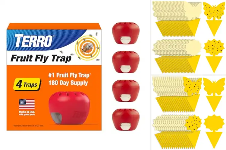 Detailed view of Best Gnat Catchers
