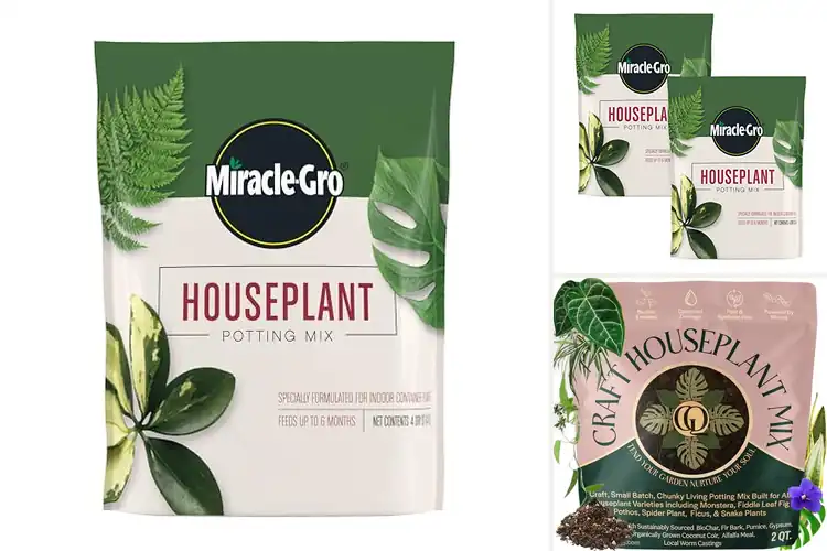 Detailed view of Best Gnat-Free Potting Mixes
