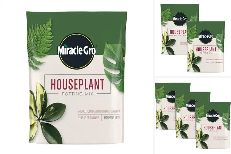 Detailed view of Best Gnat-Resistant Potting Mixes