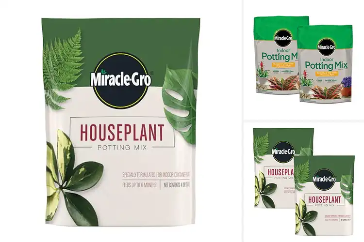 Detailed view of Best Gnat-Resistant Soils: 8 Top Picks for Pest-Free Plants