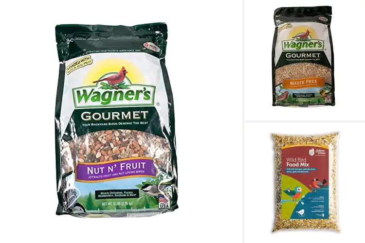 Detailed view of Best Gourmet Bird Mixes: Top 10 Blends Birds Love