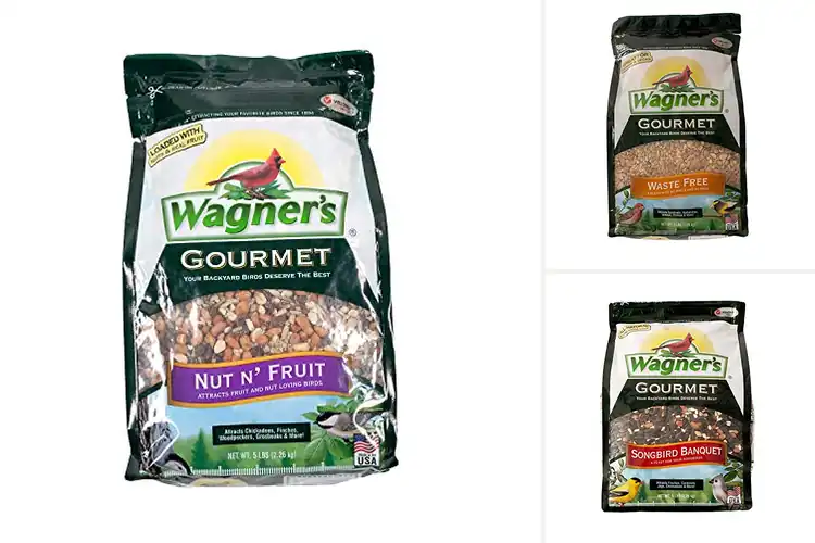 Detailed view of Best Gourmet Wild Bird Seeds for Colorful Backyard Visitors