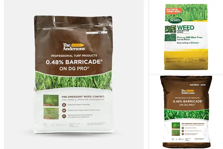 Detailed view of Best Granular Weed Controls: Your Weed-Free Lawn