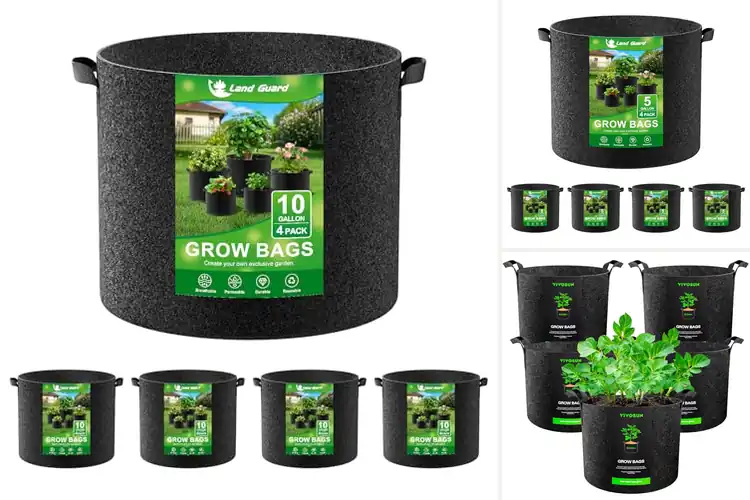 Detailed view of Best Grow Bags: 10 Picks for Easy, Lush Gardening Anywhere