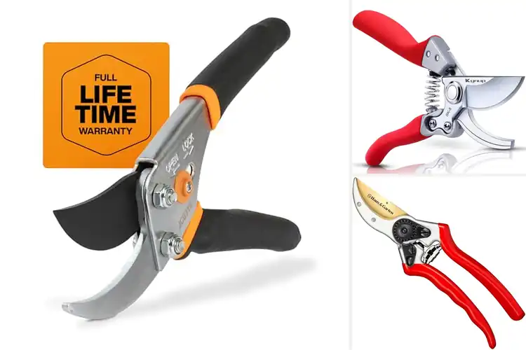 Detailed view of Best Hand Pruners