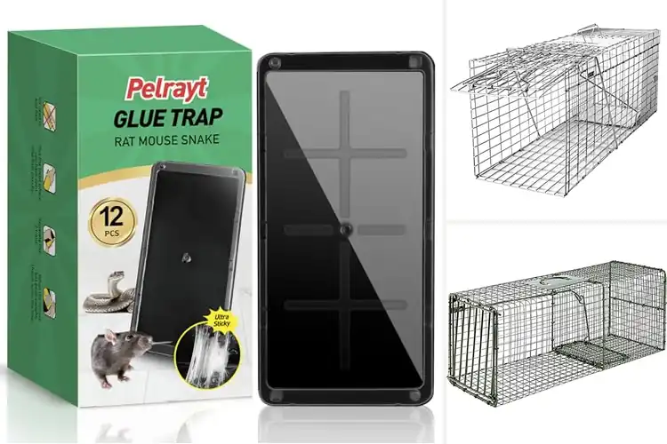 Detailed view of Best Heavy-Duty Traps: Safeguard Your Home Effectively