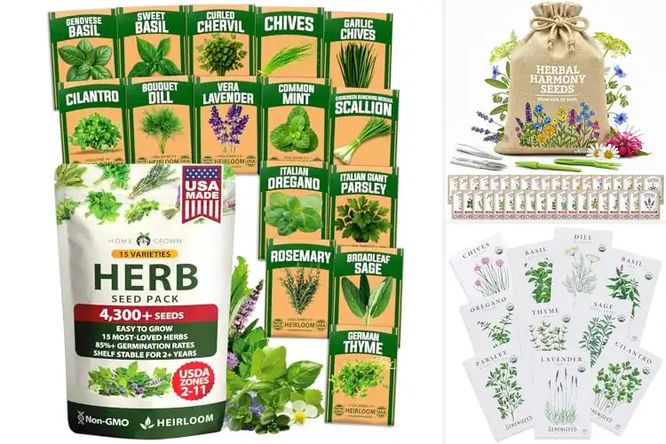 Detailed view of Best Heirloom Herb Seeds