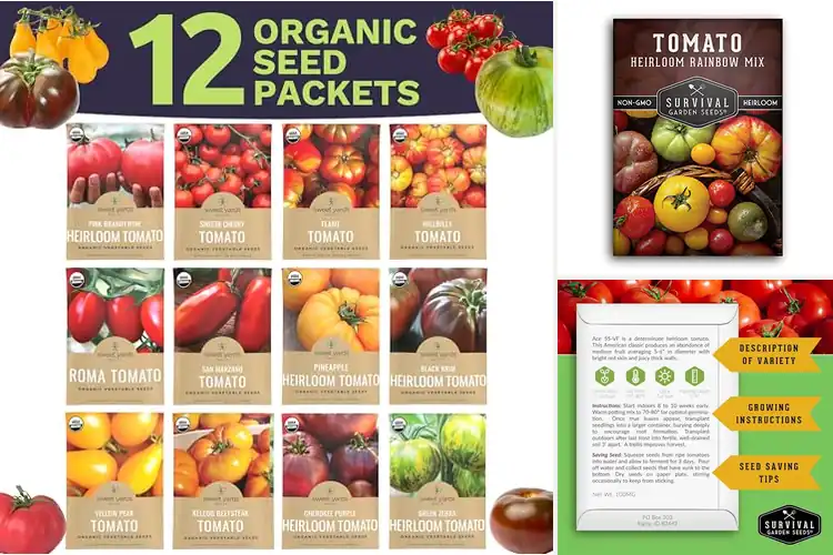 Detailed view of Best Heirloom Tomato Seeds: Grow Unique Flavors & Colors
