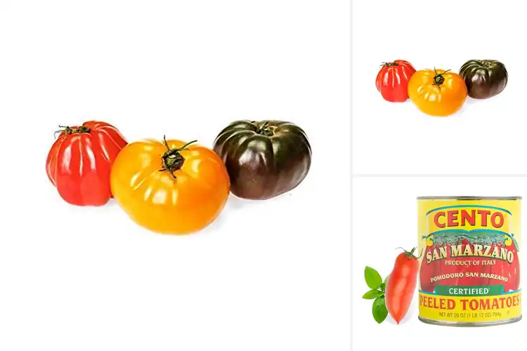 Detailed view of Best Heirloom Tomatoes