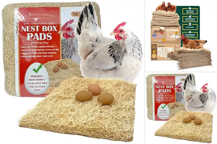 Detailed view of Best Hen Nesting Pads
