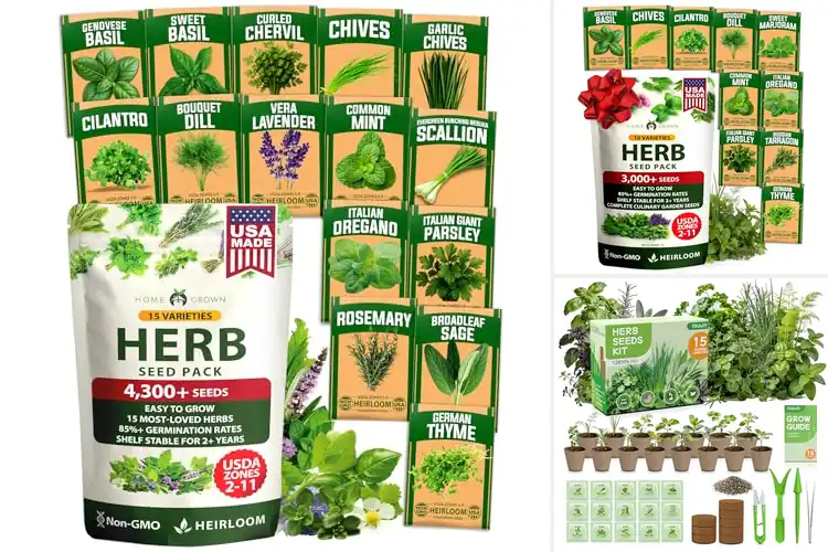 Detailed view of Best Herb Seed Kits