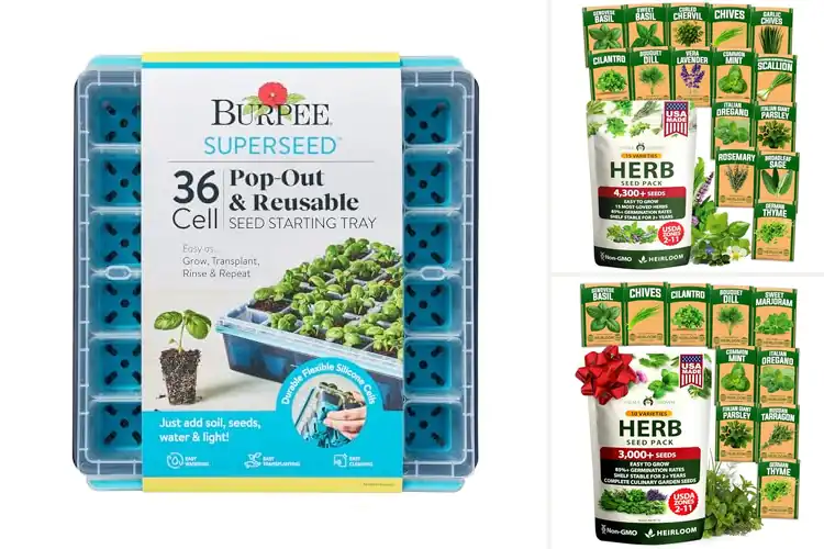 Detailed view of Best Herb Seed Starters: Grow Fresh Herbs at Home Easily
