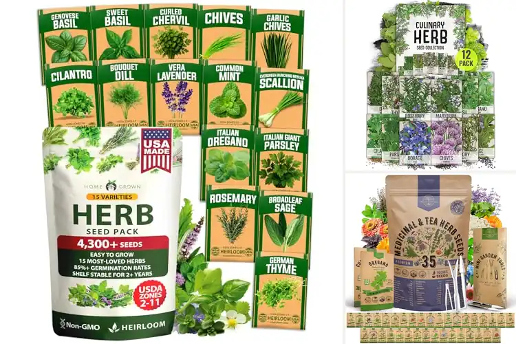 Detailed view of Best Herb Seed Variety Packs: Grow Fresh Herbs Anywhere