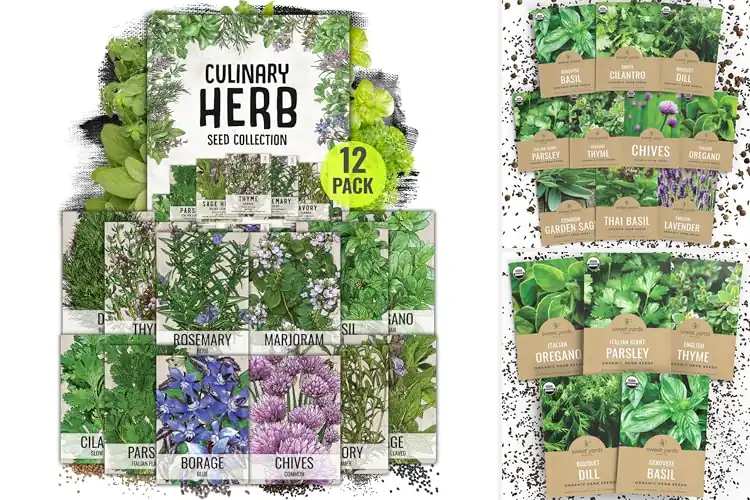 Detailed view of Best Herb Variety Packs