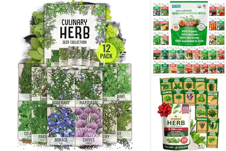 Detailed view of Best High Germination Seeds
