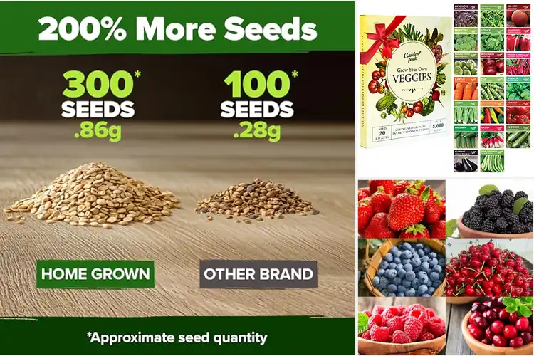 Detailed view of Best High-Yield Seeds